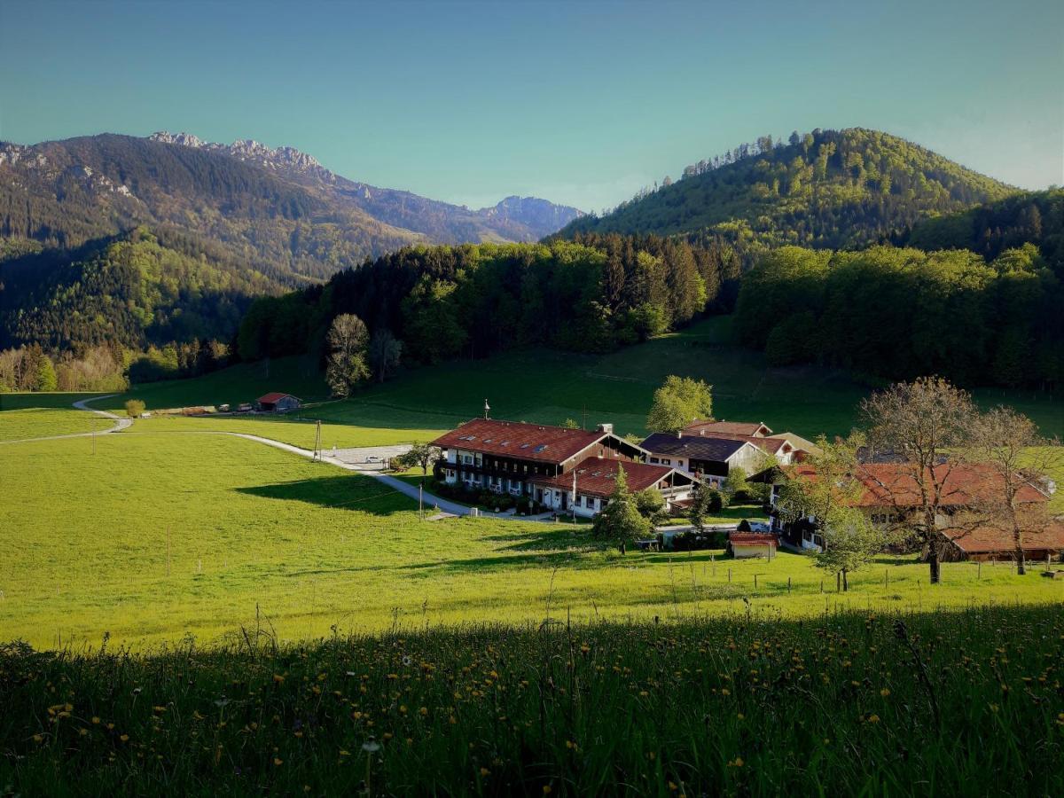 Gschwendtnerhof App10 Krausw Apartment Aschau im Chiemgau Bagian luar foto